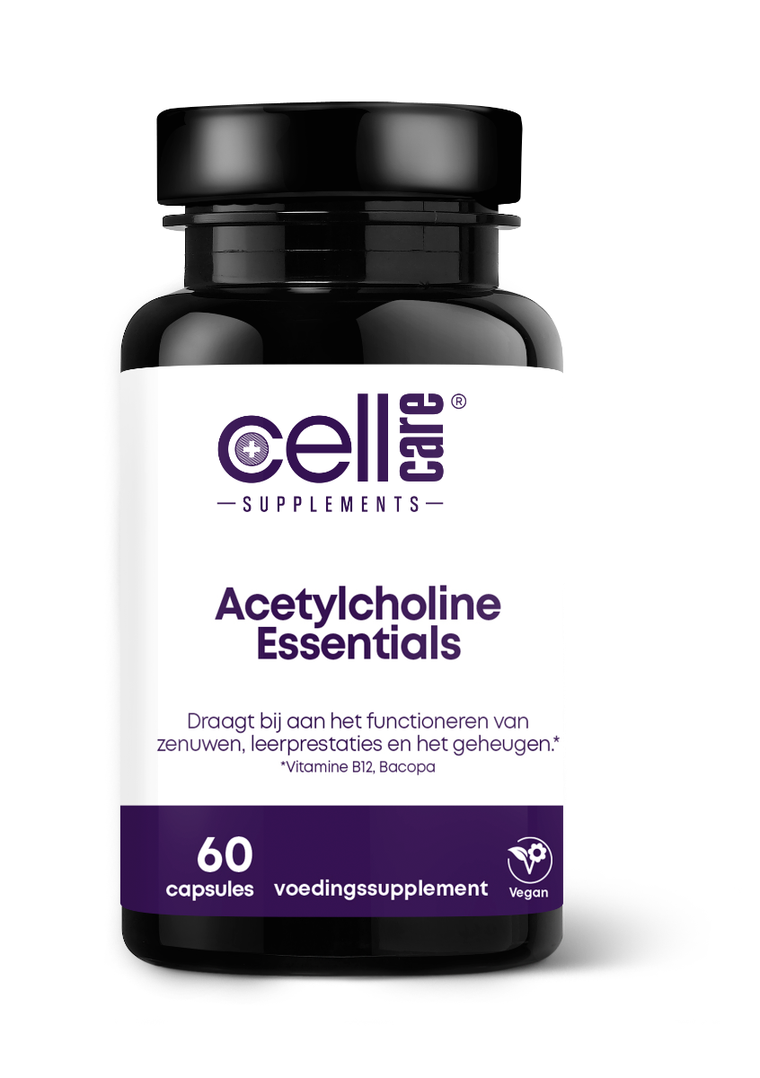 se puede tomar la l carnitina en ayunas Acetyl L carnitine 60 St