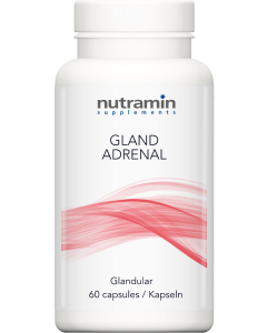 Gland Adrenal